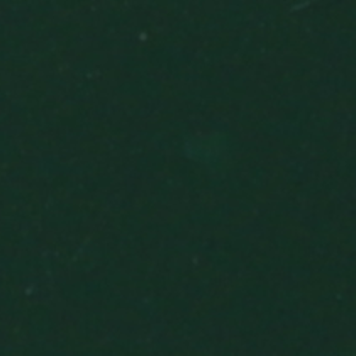 Moosgrün (RAL 6005)