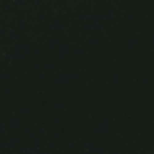 Tannengrün (RAL 6009)